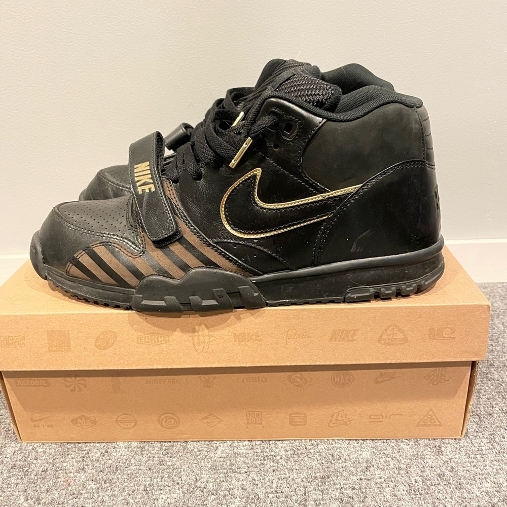 Nike AIR TRAINR 1 MD PRM NRG Used size 11